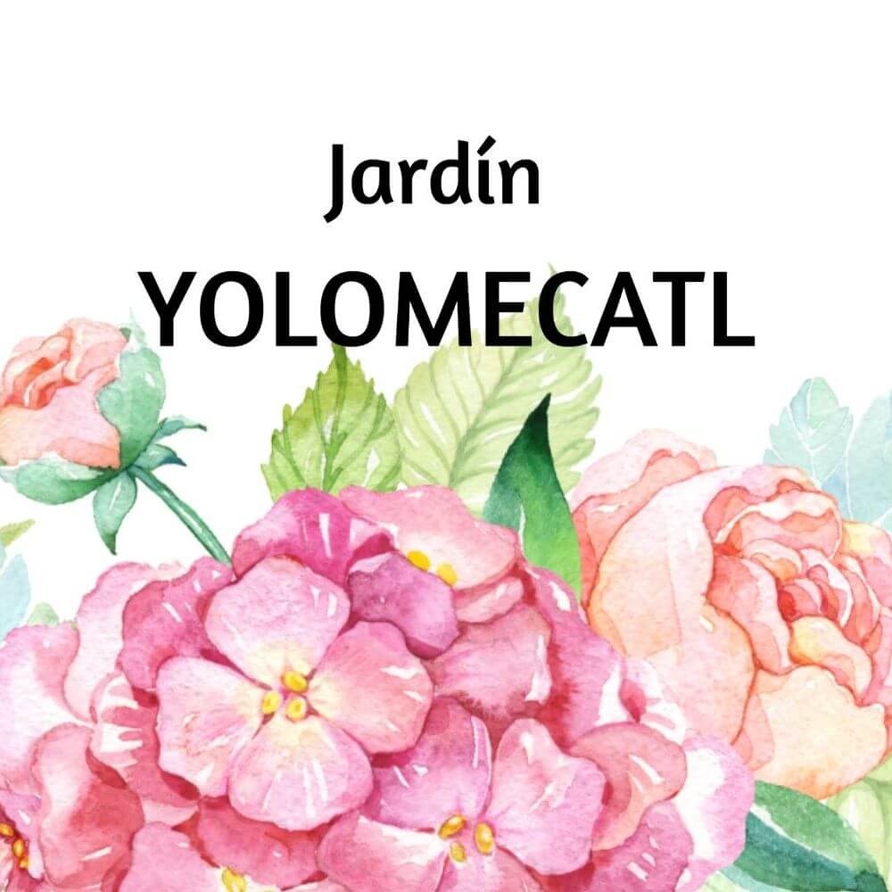 yolomecatl — Jardines & Venues